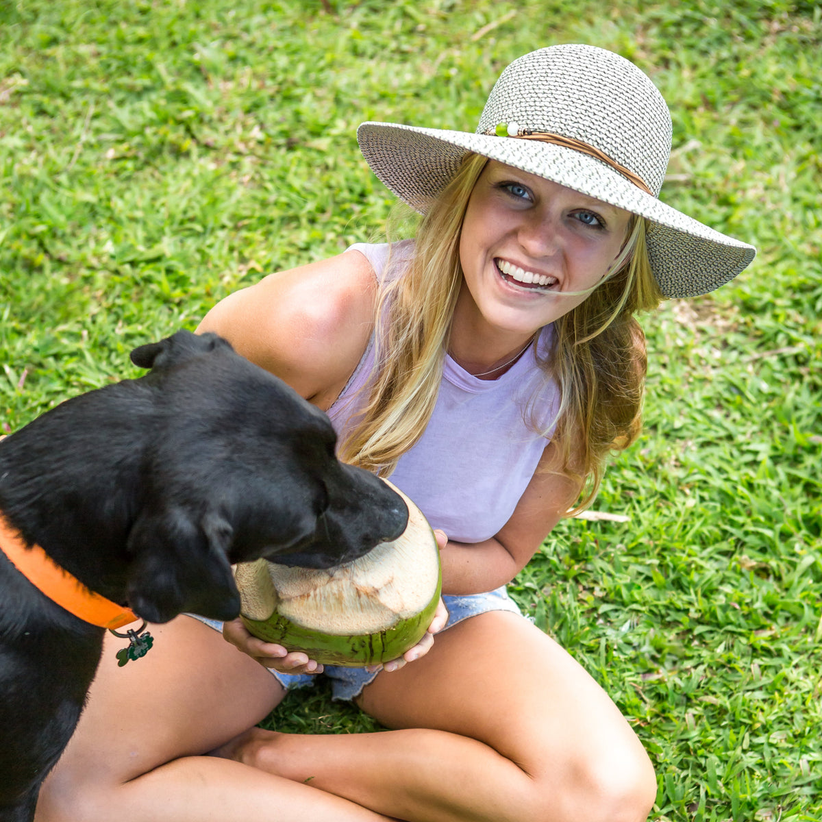 Sunday Afternoons Value - Sol Seeker Hat
